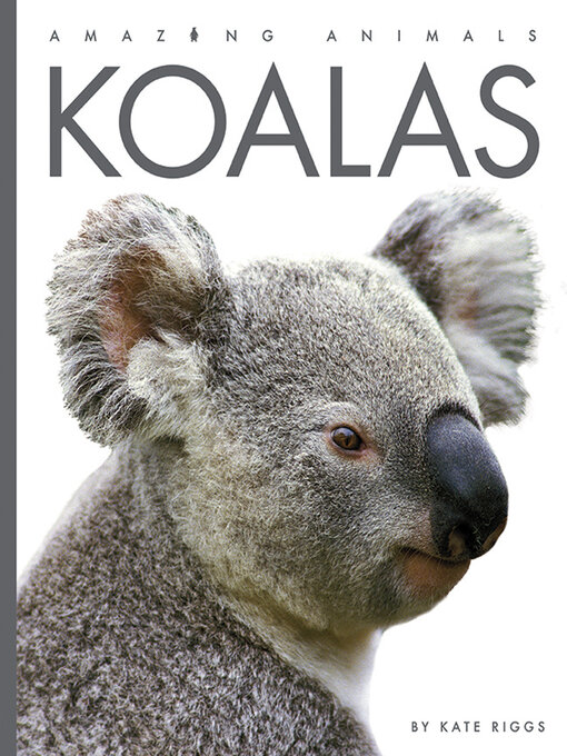 Title details for Koalas by Valerie Bodden - Available